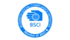 BSCI logo