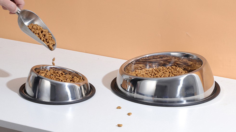 Inclined mouth pet bowl