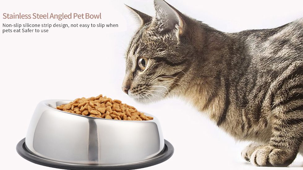 Inclined mouth pet bowl