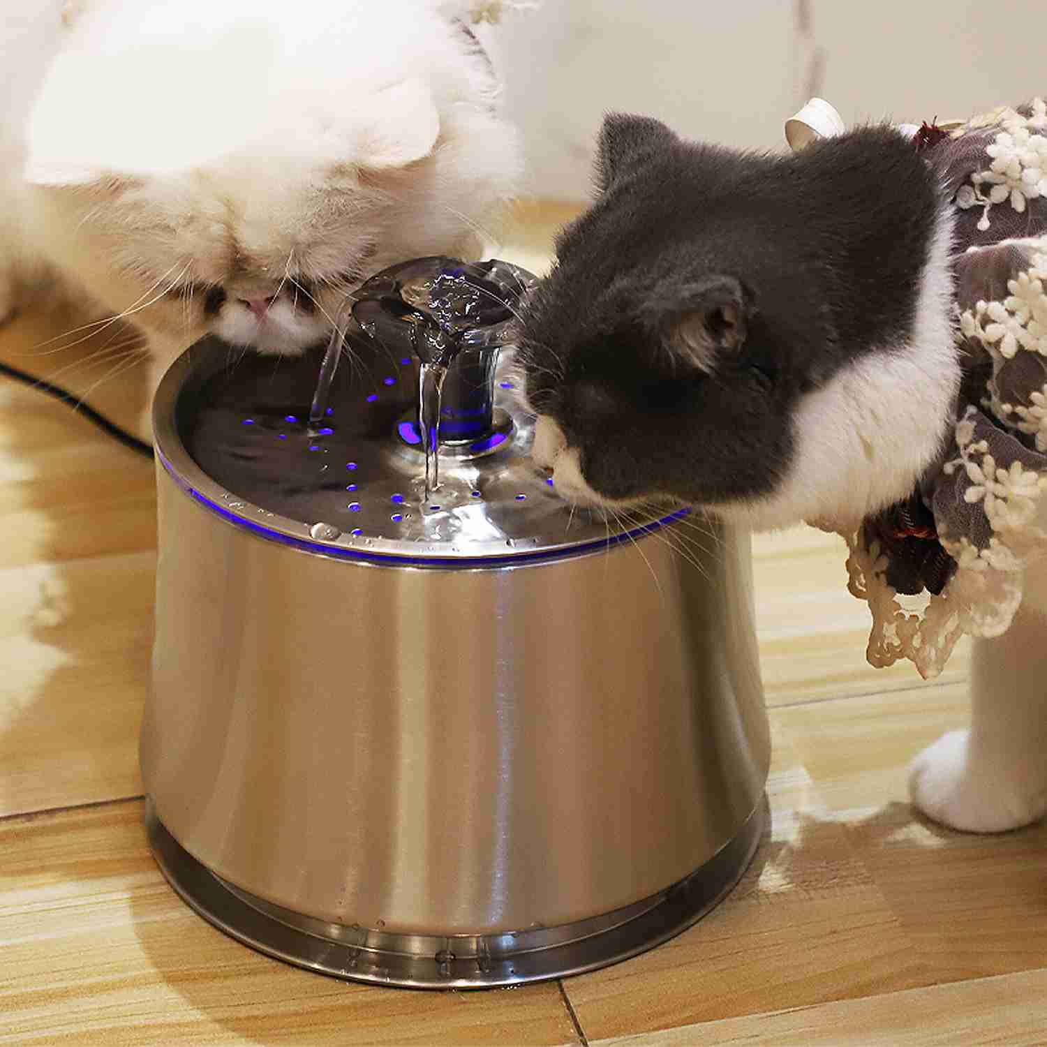 https://www.nicetystainless.com/wp-content/uploads/2022/09/cat-water-fountain-19.jpg