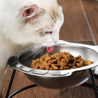 best cat bowl