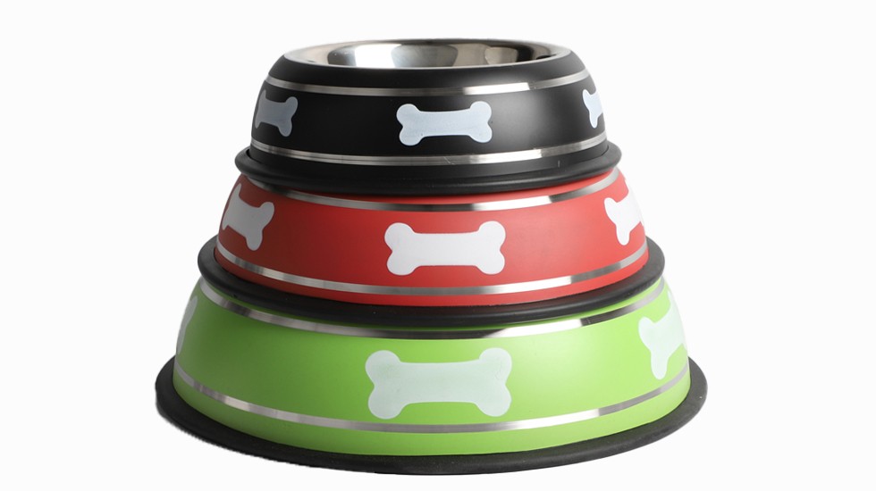dog bowls ceramic vs stainless steel