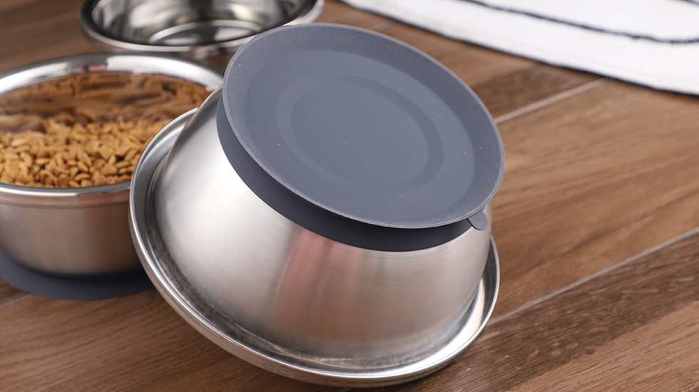 dog bowl