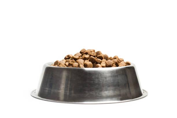 best material for dog bowls