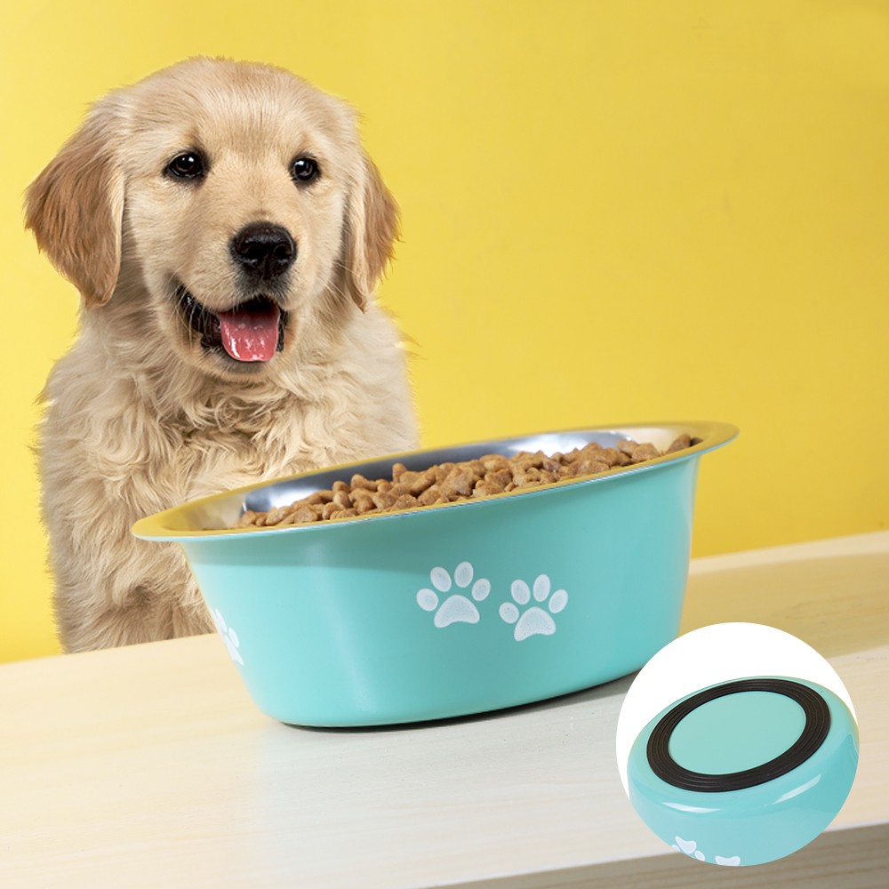 ceramic vs stainless steel dog bowl