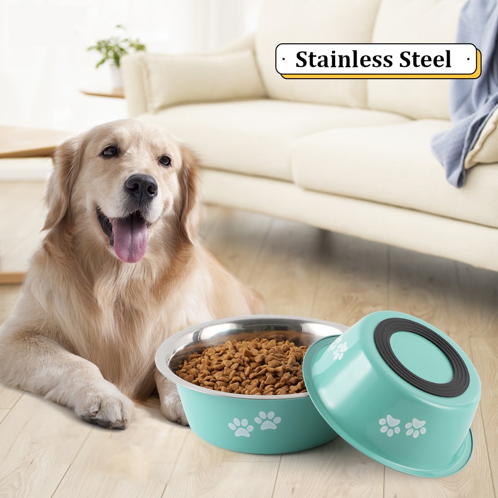 Chic Elevated Slow Feeder Dog Bowl Stand Set, Large Dog. Modern Stainless  Steel