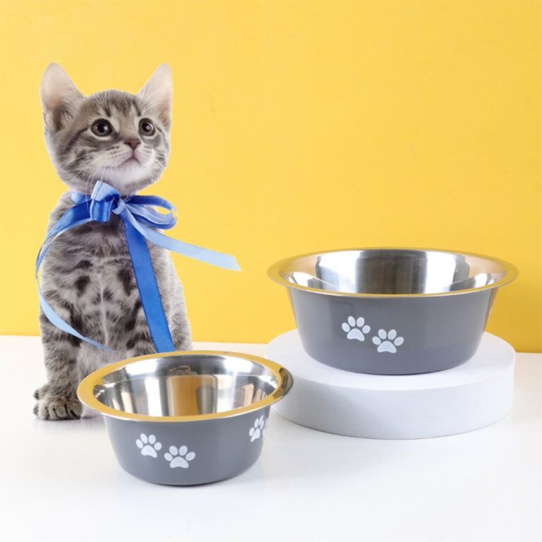 Best Material for Cat Bowls Stainless Steel vs. Ceramic and More nicety