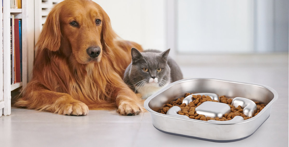 non slip stainless steel slow feed dog bowls