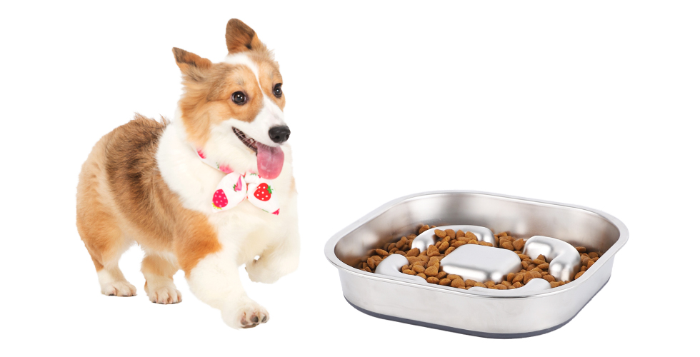 non slip stainless steel slow feed dog bowls