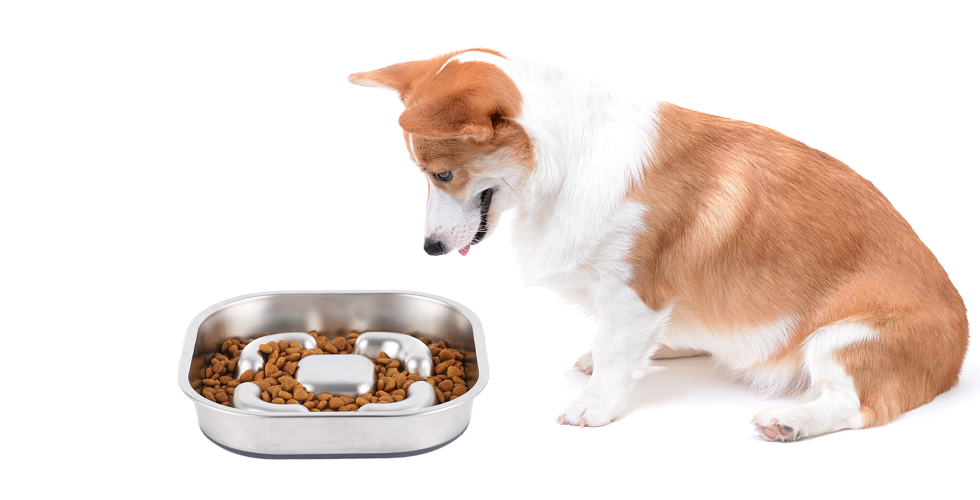 non slip stainless steel slow feed dog bowls
