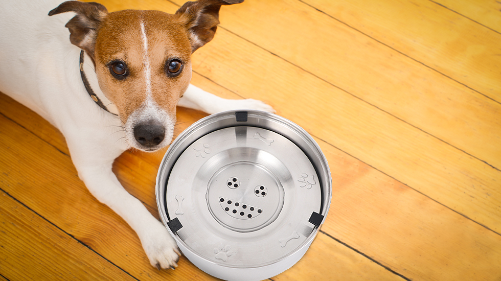 微信图片 20230830020308